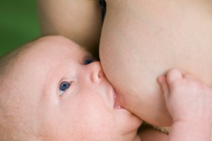 Новорожденного малыша кормят грудью (фото: Fotolia)