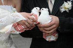Свадебные голуби (фото: ЦФА Бурда)