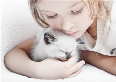 Кошки и ребенок - фото