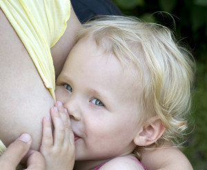 Малыш на грудном вскармливании (фото: thinkstockphotos/fotobank.ua)