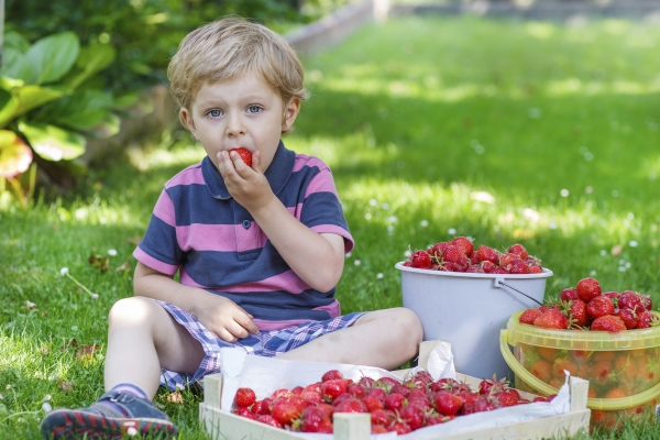 Ребенок ест клубнику 