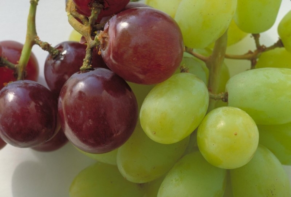 польза винограда для ребенка