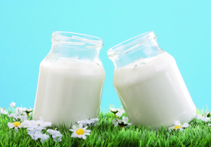 Молоко (фото Burda Media)