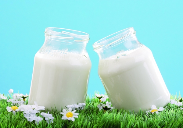 Молоко (фото Burda Media)