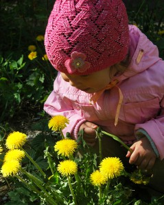Маленькая девочка среди ярко-желтых одуванчиков - фото