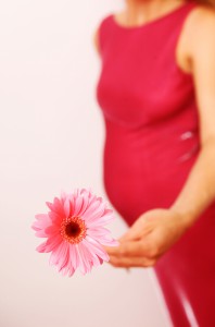 Силуэт беременной женщины с цветком в руке - фото