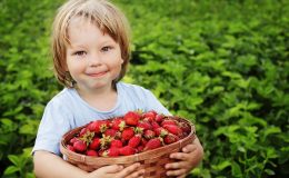Маленький мальчик с корзиной ягод - фото