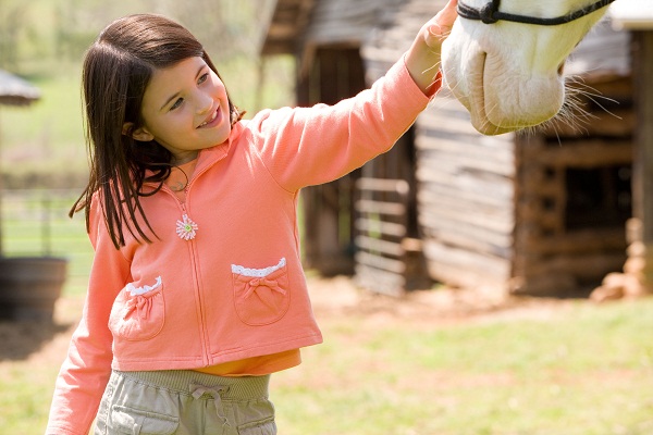 Девочка гладит лошадь - фото