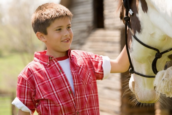 Мальчик гладит лошадь - фото