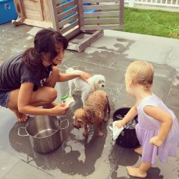 Хилири Болдуин с дочкой купают собачек - фото