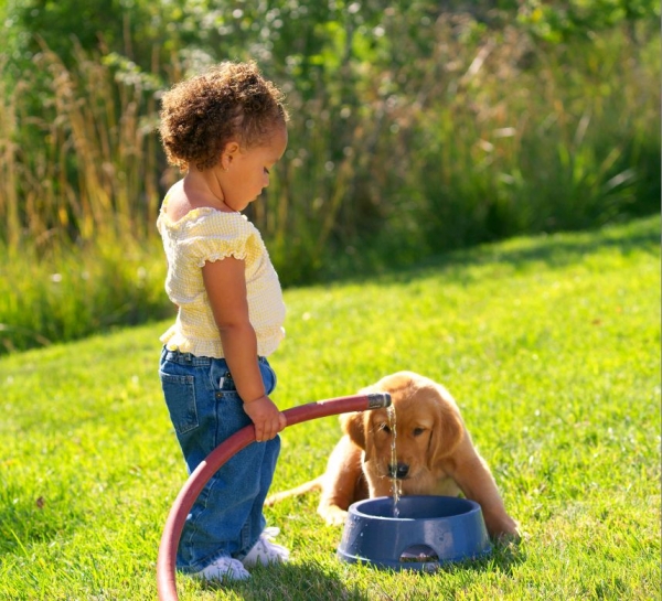 Собака и ребенок - фото