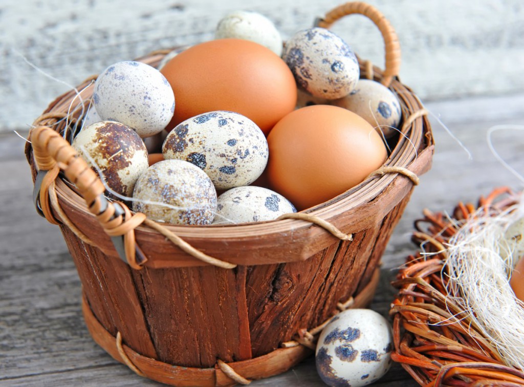 Яйца в корзинке - фото