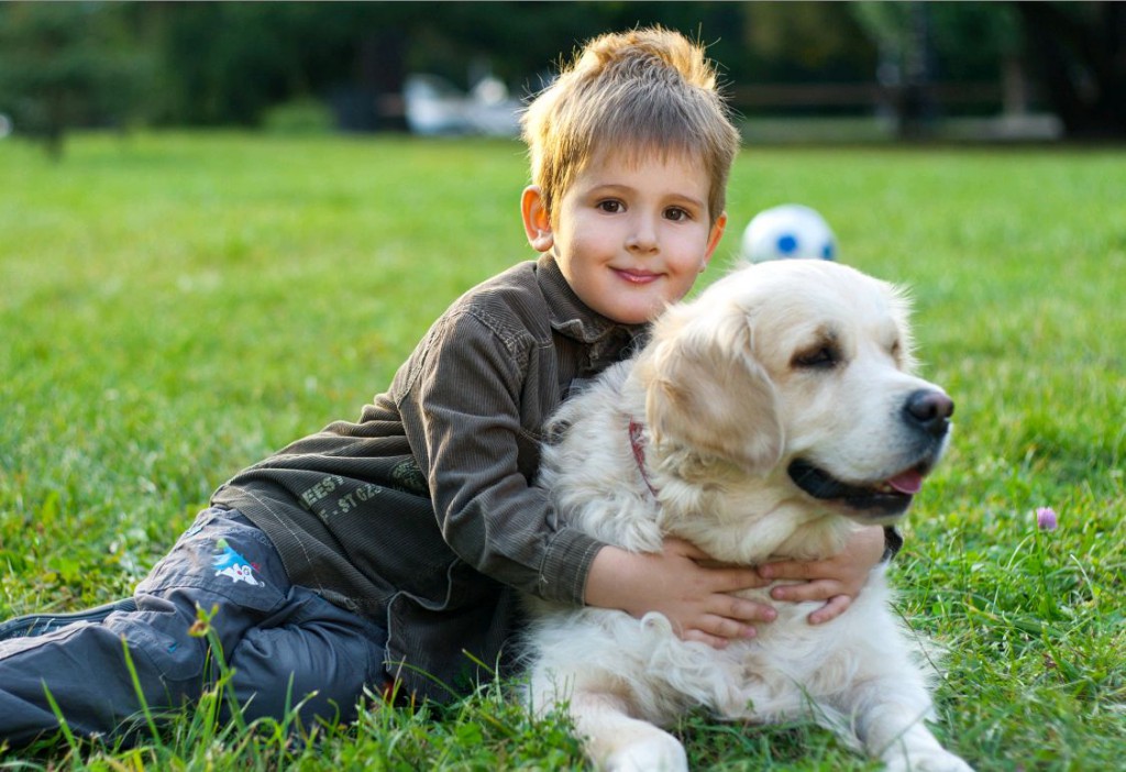 ребенок и собака - фото