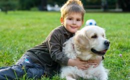 ребенок и собака - фото