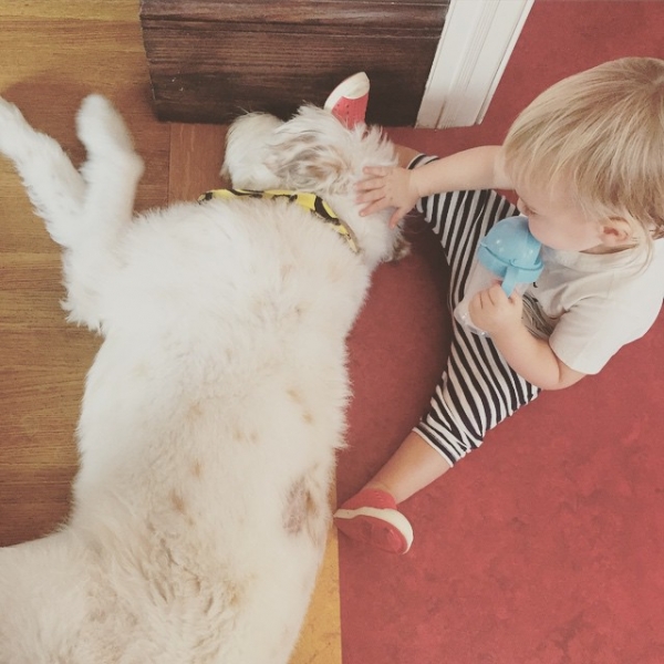 Сын Оливии Уйлд Отис и собака - фото