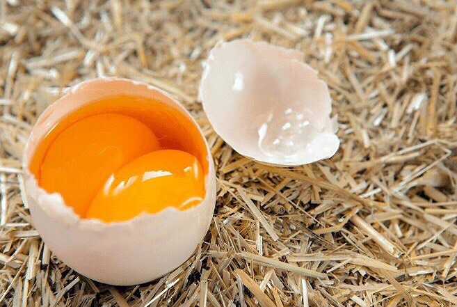 Куриные яйца - в чем польза и как выбрать свежие?