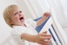 Ребенок 2 года: как победить капризы