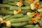 Все о пользе кабачков: 6 незаменимых свойств любимого овоща