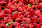 Почему женщинам нужно есть клубнику: 5 незаменимых свойств ягоды