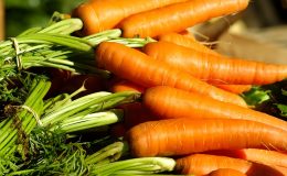морковь - фото
