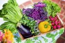 Ученые назвали овощ, который поможет повысить зрение лучше, чем морковь