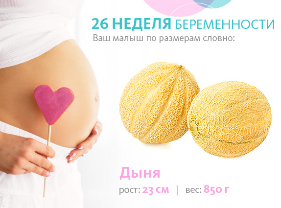 термін вагітності 26 тижнів