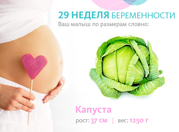 вагітність 29 тижнів