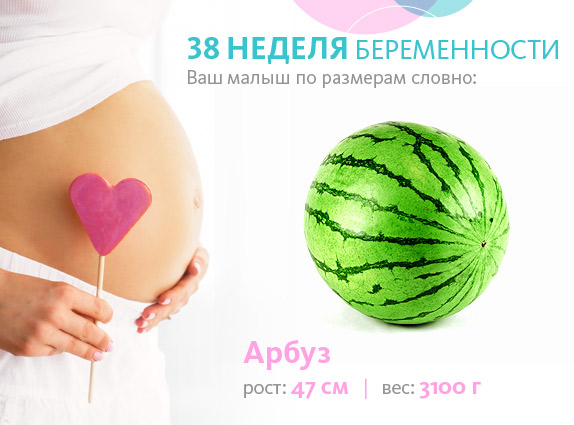 38 тиждень вагітності