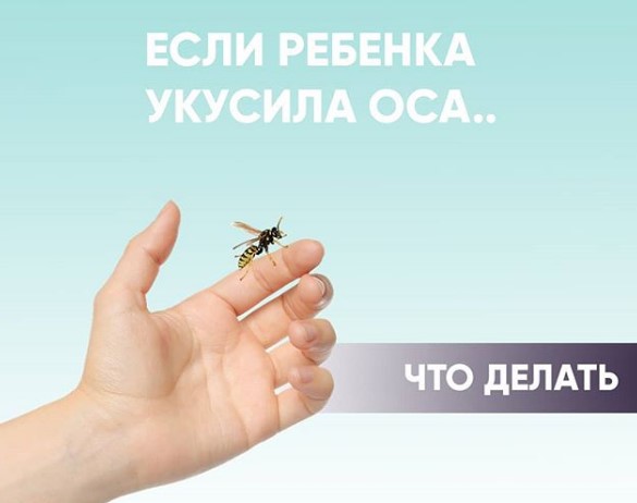 Ребенка ужалила оса Ребенка ужалила оса