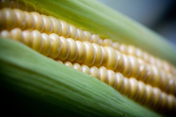  8 незамінних властивостей вареної кукурудзи