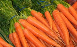 морковь - фото