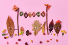 Топ-10 развивающих игр для детей с осенними листьями