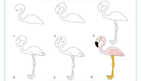 https://www.activityvillage.co.uk/sites/default/files/images/learn_to_draw_a_flamingo_460_0.jpg