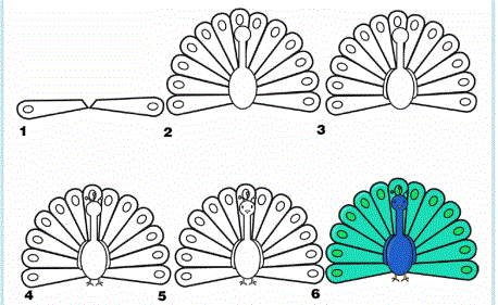 https://www.activityvillage.co.uk/sites/default/files/images/learn_to_draw_a_peacock_0.gif