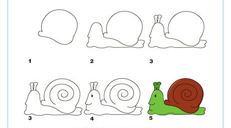 https://www.activityvillage.co.uk/sites/default/files/images/learn_to_draw_a_snail_460_2.jpg