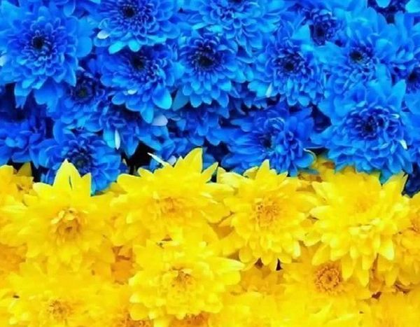 день конституции украины