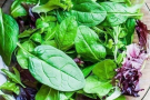 9 самых полезных видов листовой зелени для похудения и здоровья