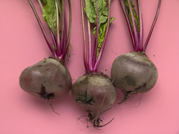 Фиолетовые продукты