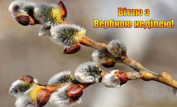 Вербное воскресенье 2020 поздравления Вербное воскресенье 2020 поздравления