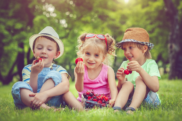летнее меню, здоровое питание, правильное питание, каким должно быть питание ребенка летом, летнее меню для детей, особенности питания ребенка летом, фрукты, овощи, рыба, ягоды