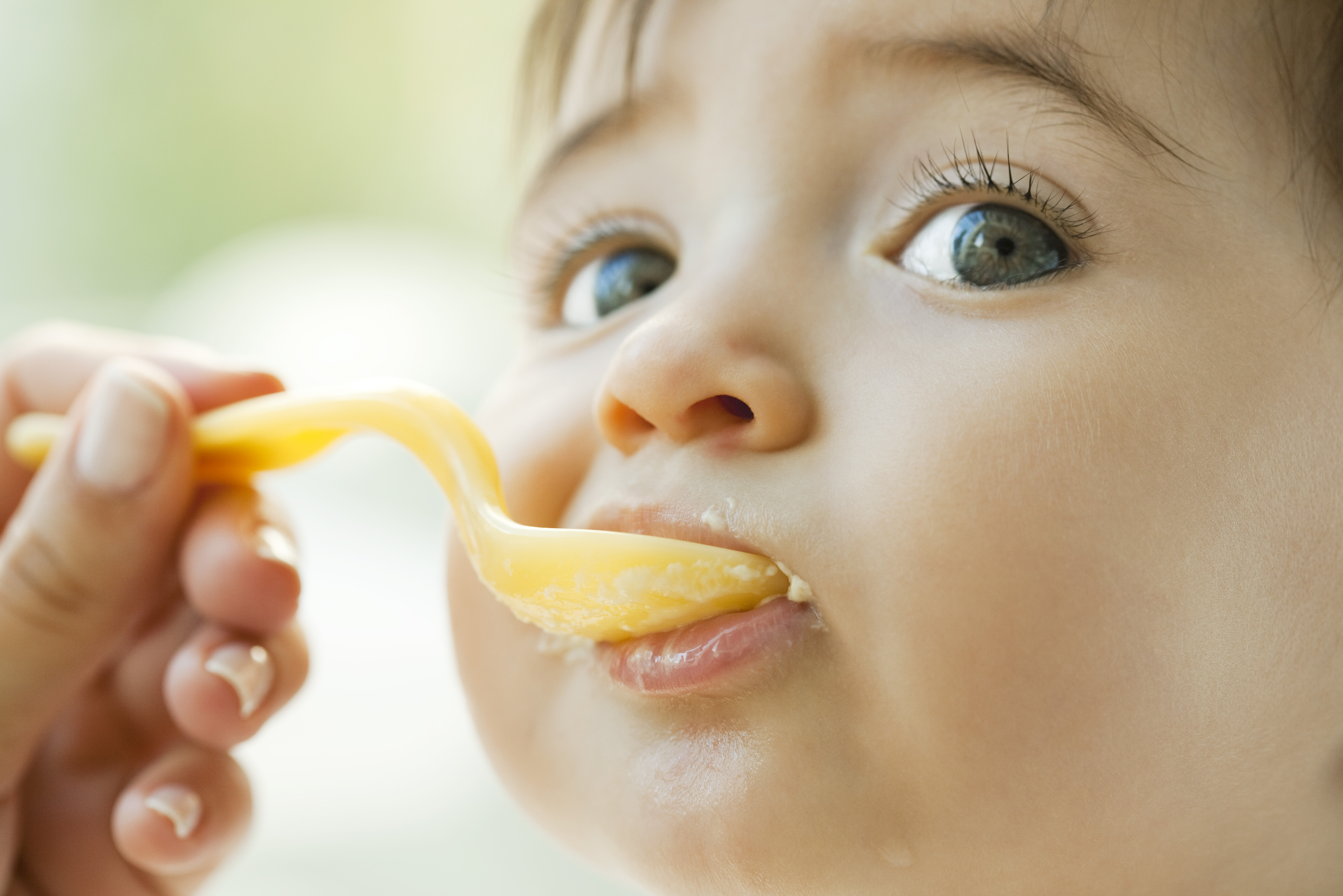 летний прикорм ребенка, сколько можно ягод малышу за один раз, как правильно вводить фрукты, как правильно вводить овощи, летний прикорм, здоровое меню, первый зуб, готовность ребенка к прикорму, аллергия, прикорм детям-аллергикам