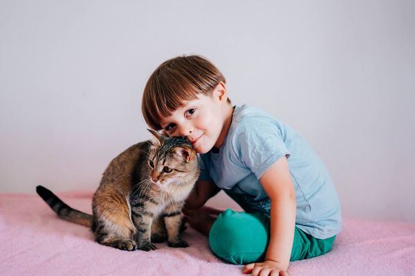 Ребенка поцарапала кошка: когда нужен врач