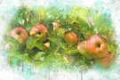 Яблочный Спас: открытки и поздравления