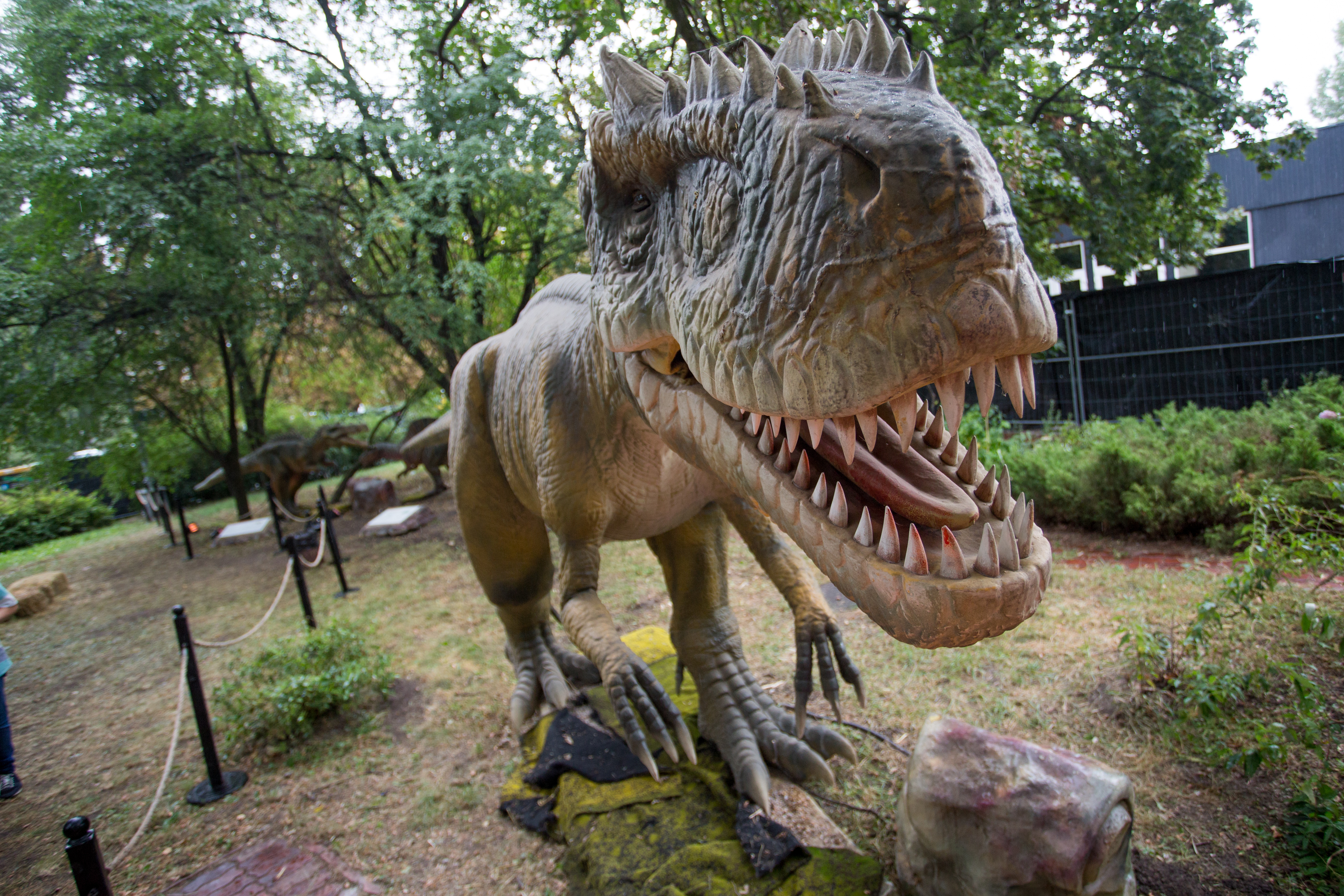 выставка на вднх, динозавры, куда пойти на выходных