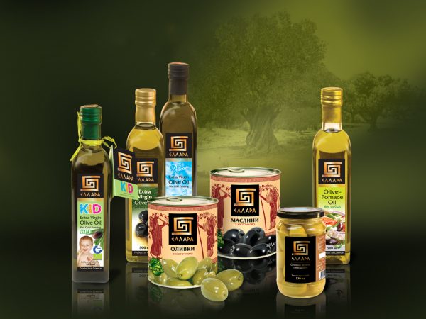 оливковое масло, какое оливковое масло лучше, как выбрать оливковое масло