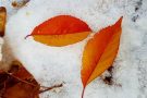 Прощай лето и здравствуй зима: прогноз погоды на ноябрь