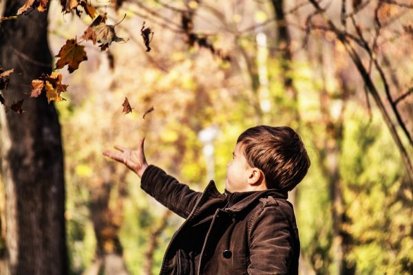 аллергия, осень, аллергия на листву, осина, береза, пыль клещей, яблоки, если ребенок аллергик, что может вызвать аллергию осенью, опасность игры с листьями