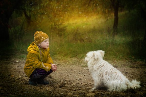дети и животные, ребенок и собака, правила общения с чужой собакой