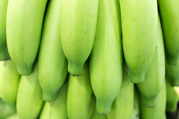зеленые бананы польза вред 