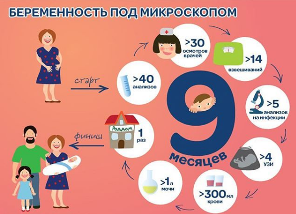 беременность, обследование во время беременности, узи при биременности